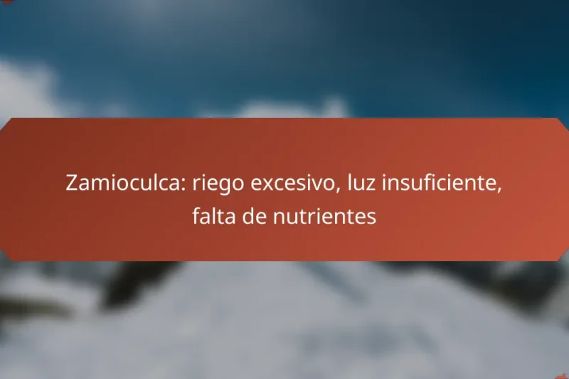 Zamioculca: riego excesivo, luz insuficiente, falta de nutrientes