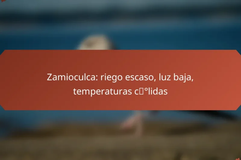 Zamioculca: riego escaso, luz baja, temperaturas cálidas