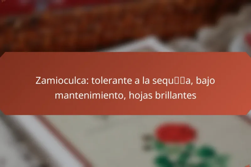 Zamioculca: tolerante a la sequía, bajo mantenimiento, hojas brillantes