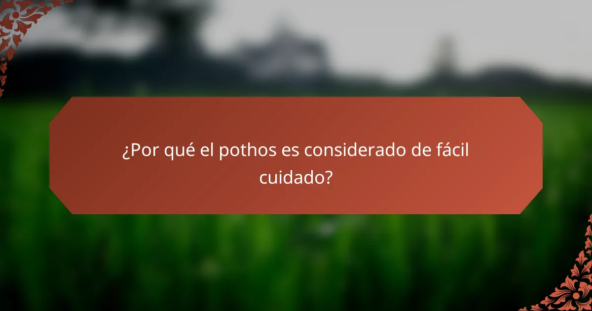 ¿Por qué el pothos es considerado de fácil cuidado?