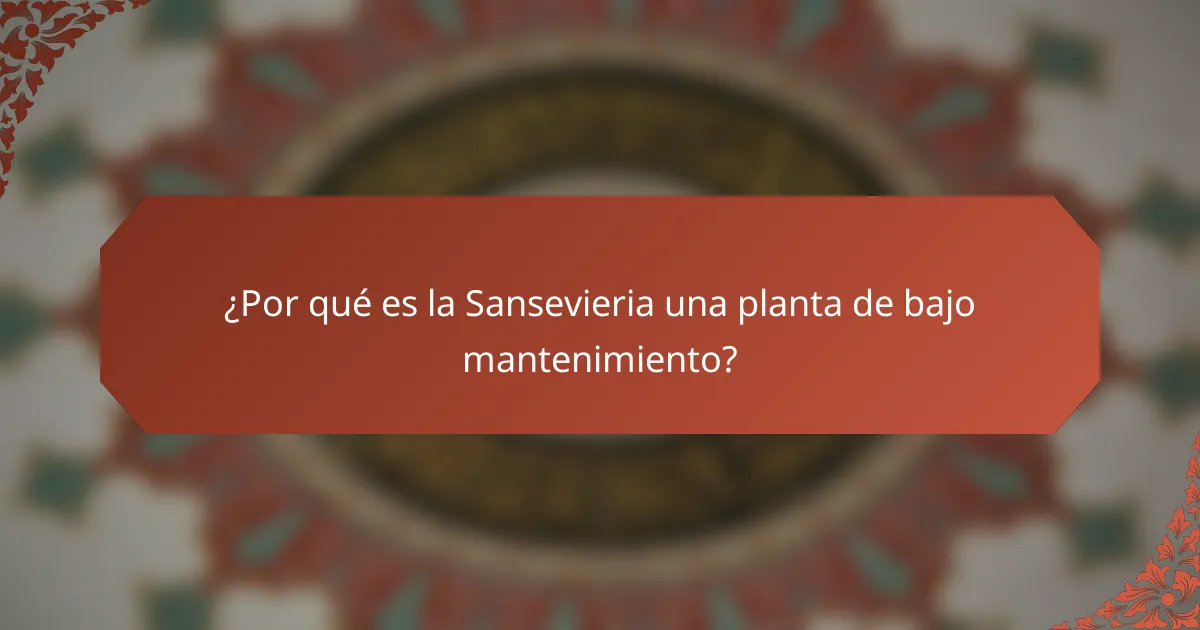 ¿Por qué es la Sansevieria una planta de bajo mantenimiento?