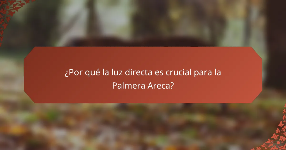 ¿Por qué la luz directa es crucial para la Palmera Areca?