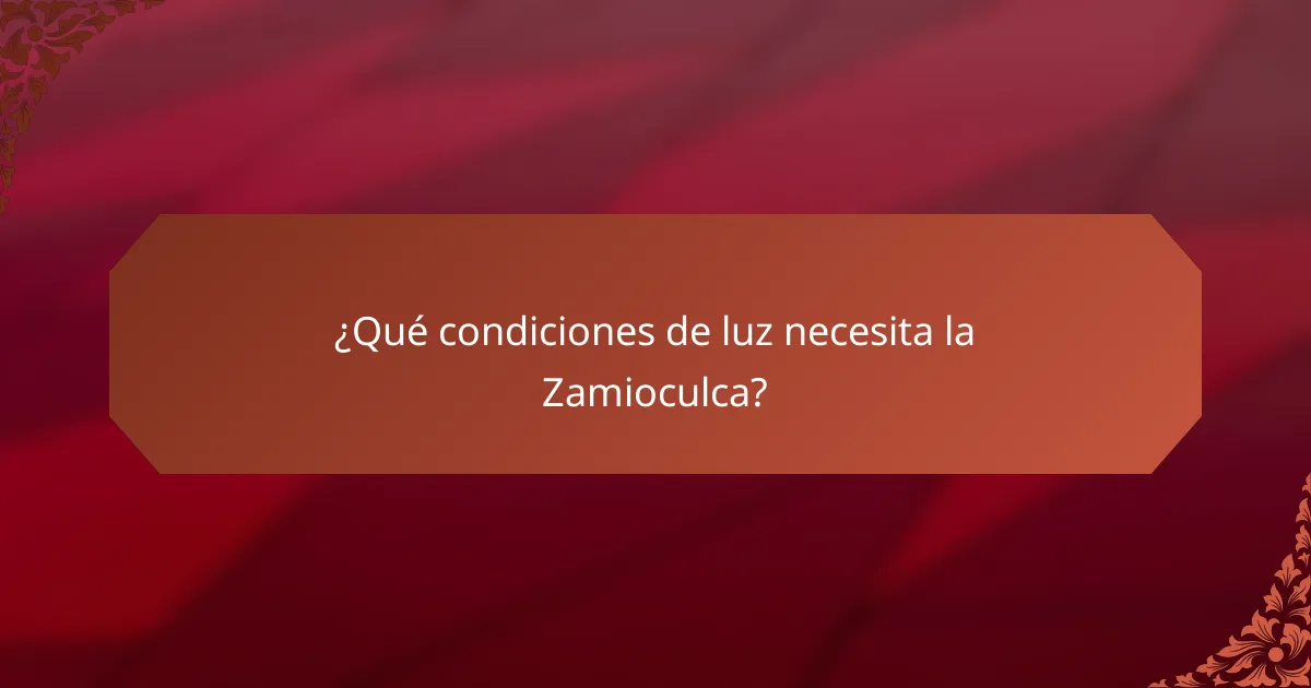 ¿Qué condiciones de luz necesita la Zamioculca?