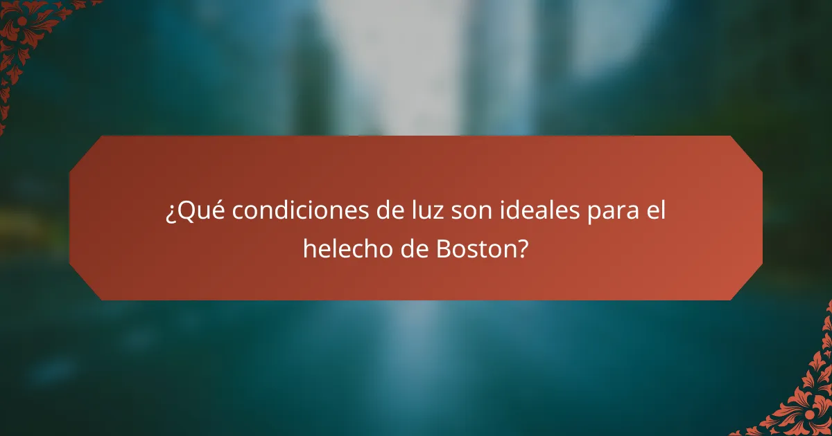 ¿Qué condiciones de luz son ideales para el helecho de Boston?