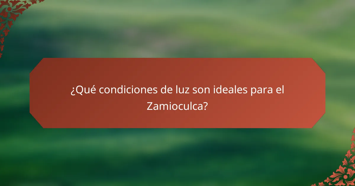 ¿Qué condiciones de luz son ideales para el Zamioculca?