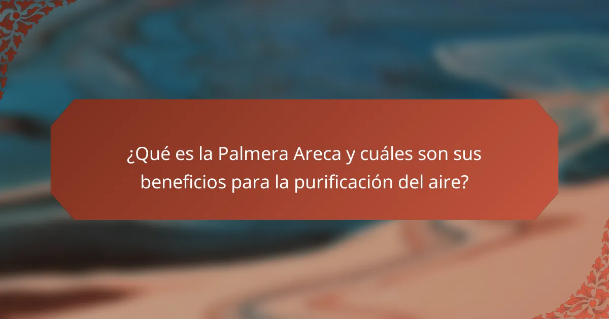 ¿Qué es la Palmera Areca y cuáles son sus beneficios para la purificación del aire?