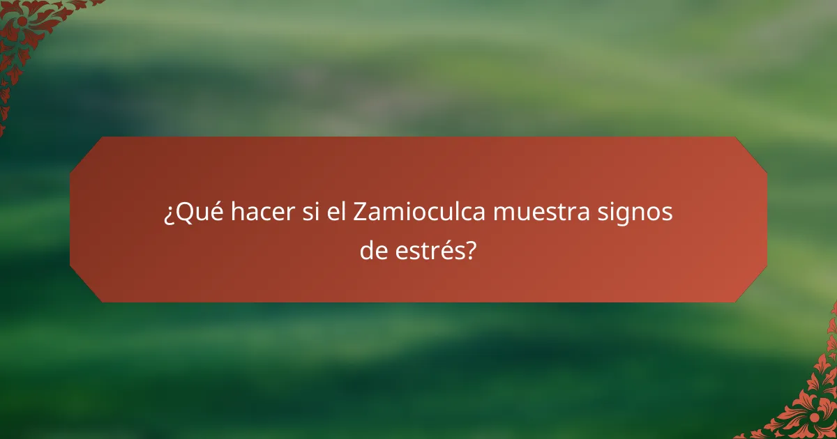 ¿Qué hacer si el Zamioculca muestra signos de estrés?