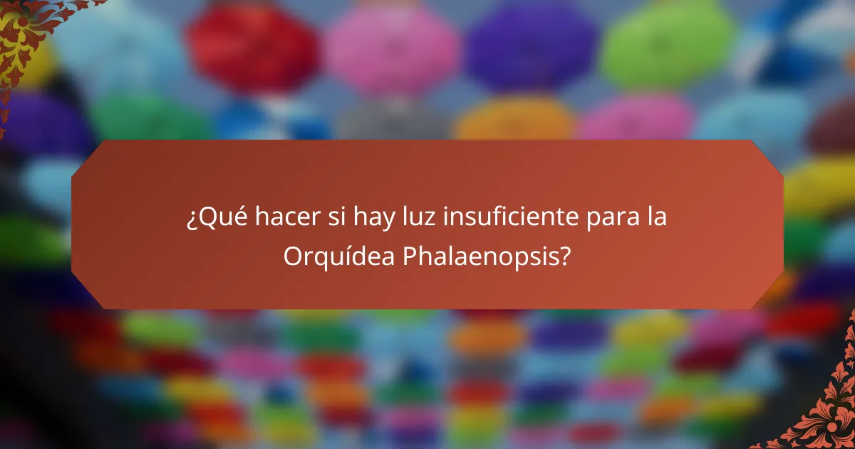 ¿Qué hacer si hay luz insuficiente para la Orquídea Phalaenopsis?