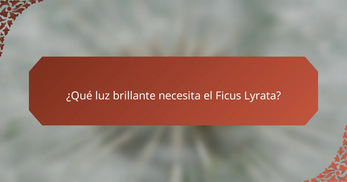 ¿Qué luz brillante necesita el Ficus Lyrata?