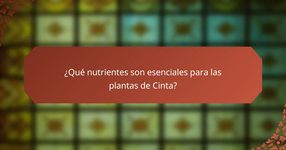 ¿Qué nutrientes son esenciales para las plantas de Cinta?