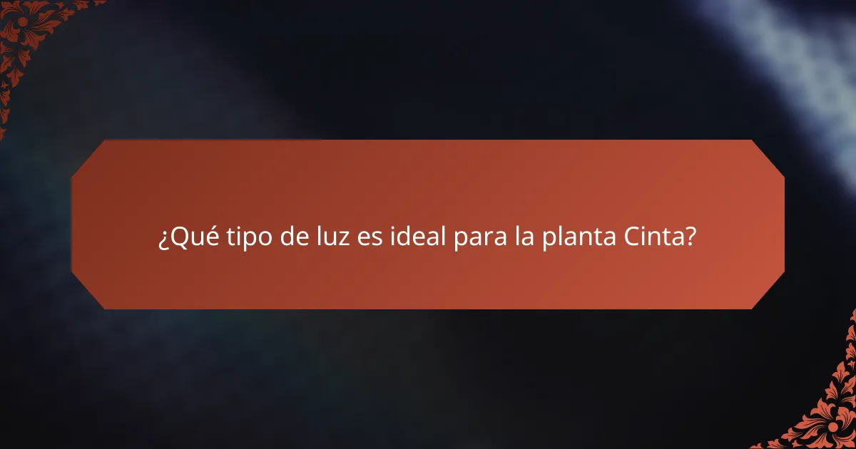 ¿Qué tipo de luz es ideal para la planta Cinta?