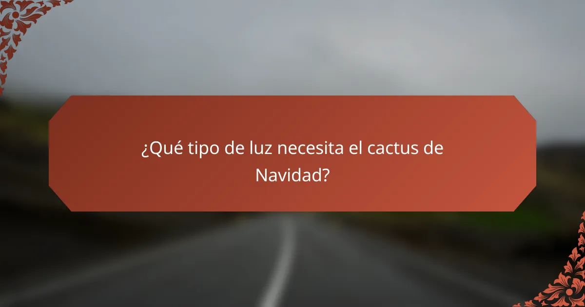 ¿Qué tipo de luz necesita el cactus de Navidad?