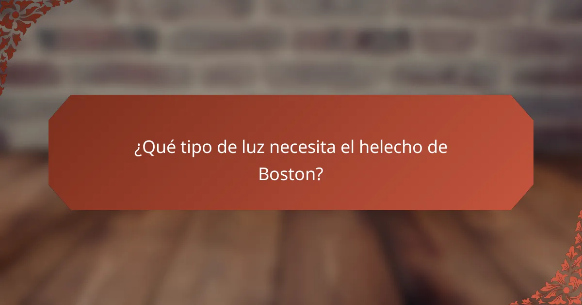¿Qué tipo de luz necesita el helecho de Boston?