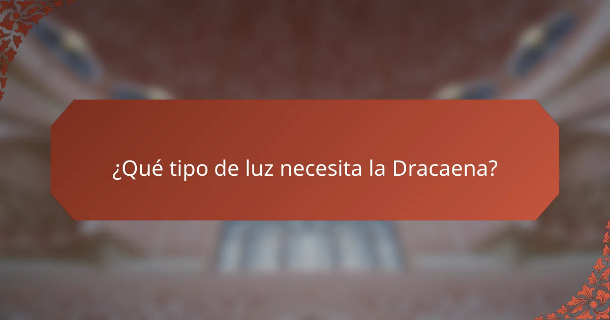 ¿Qué tipo de luz necesita la Dracaena?