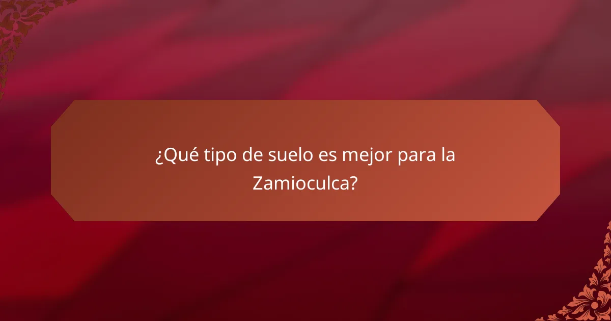 ¿Qué tipo de suelo es mejor para la Zamioculca?