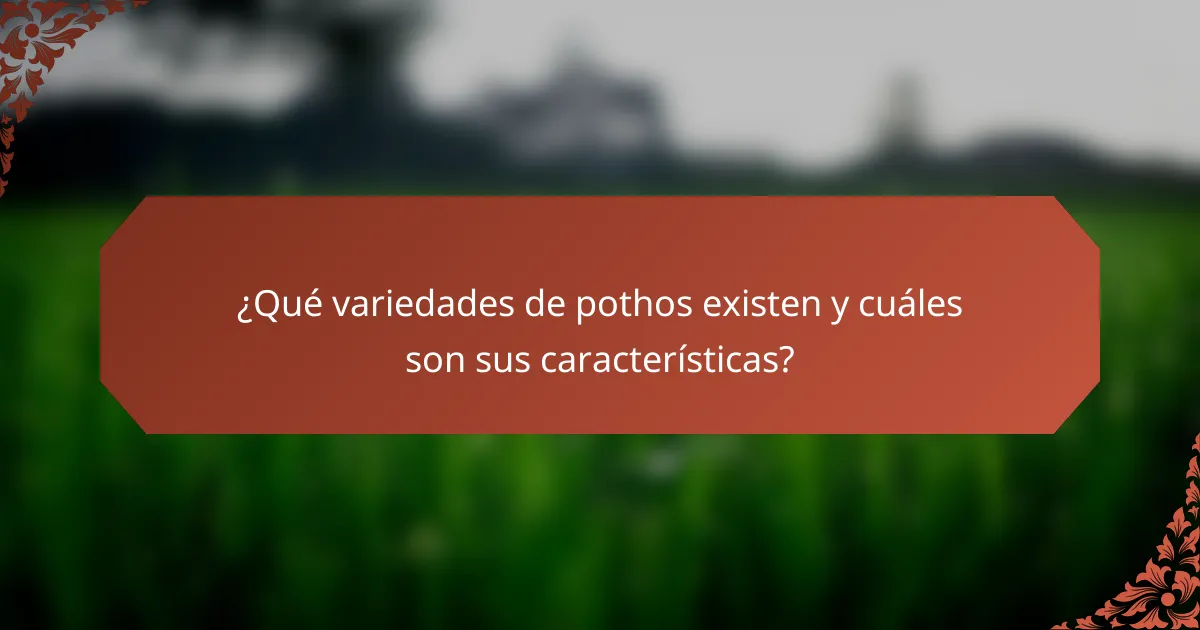 ¿Qué variedades de pothos existen y cuáles son sus características?