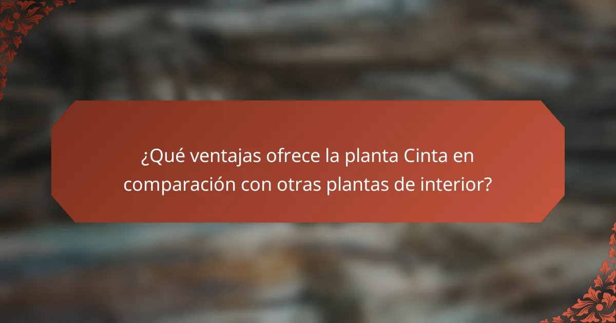 ¿Qué ventajas ofrece la planta Cinta en comparación con otras plantas de interior?